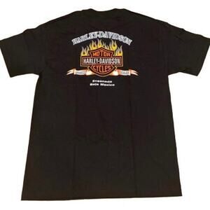 Harley Davidson Men’s LG Graphic T-Shirt